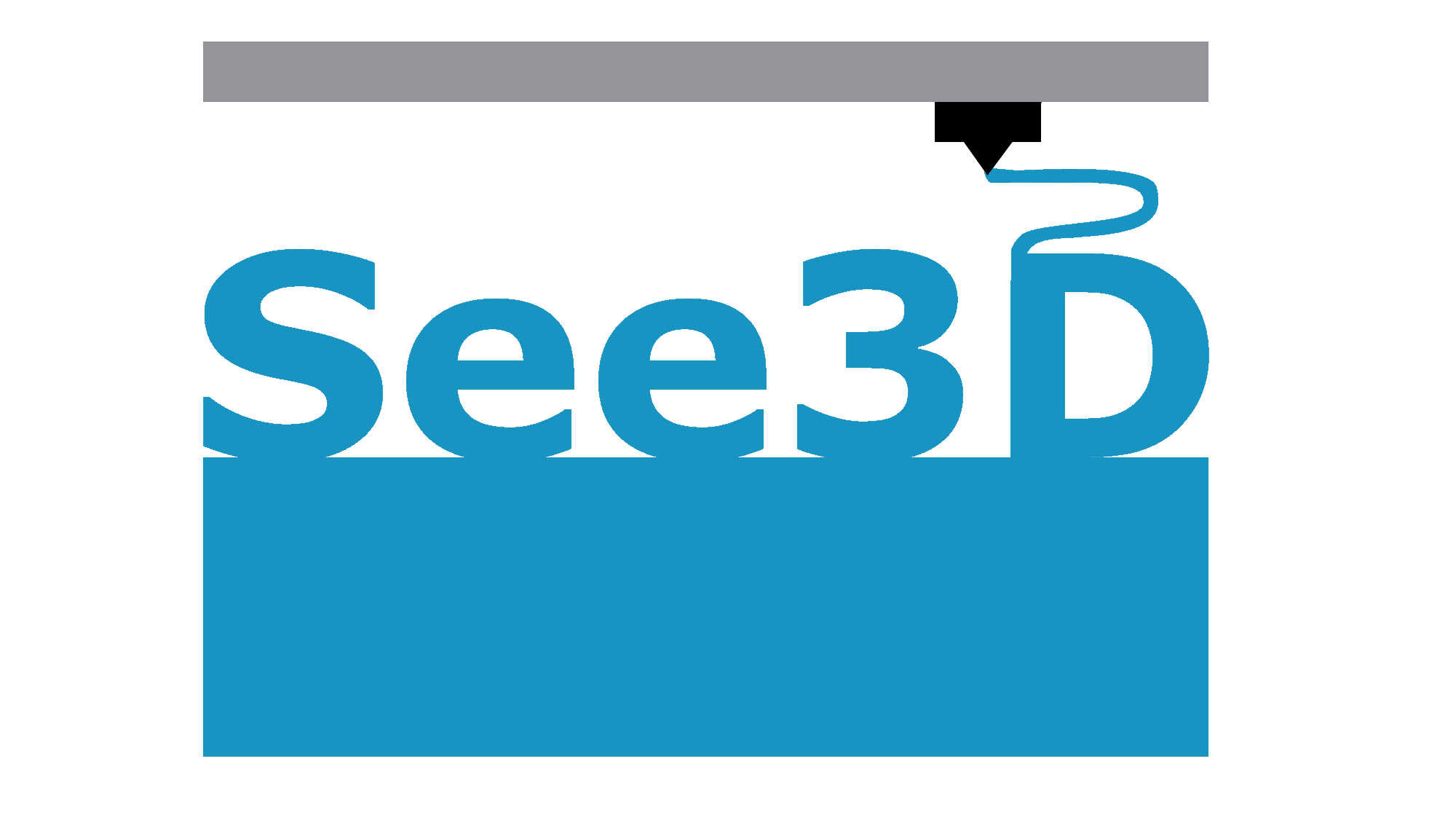 See 3D logo
